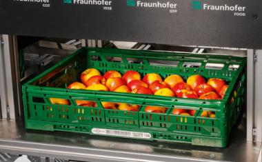 Dem faulen Apfel auf der Spur