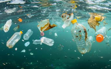 Gut verpackt und zügig abgebaut