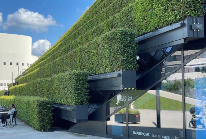 Stadtklima: Leben im urbanen Backofen