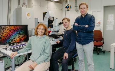 Magdeburger Forschende entdecken neue Materialklasse