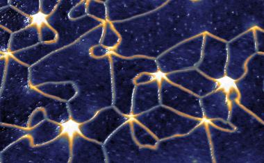 Antiferromagnetisches Netzwerk mit Drehrichtung