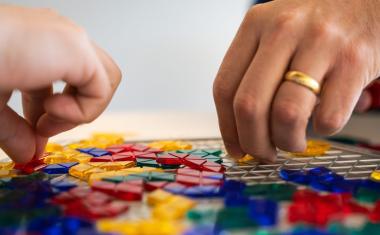 Der Bauplan der Natur