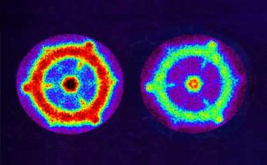 Licht lässt Moleküle auf Quantenmaterialien rotieren