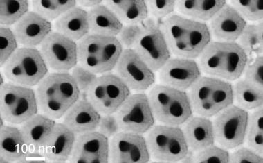 Eine Ionenpumpe für sauberes Wasser