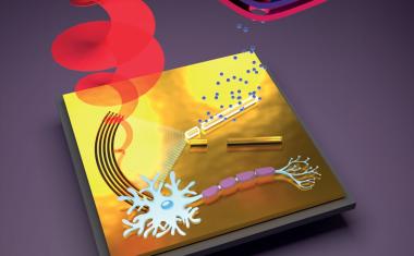 Plasmonische Neuronen im Nanometerbereich