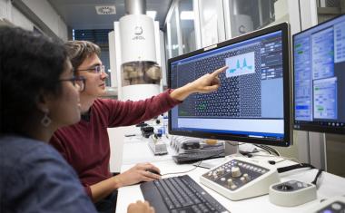 Optische Speicherung in Antiferromagneten gelungen