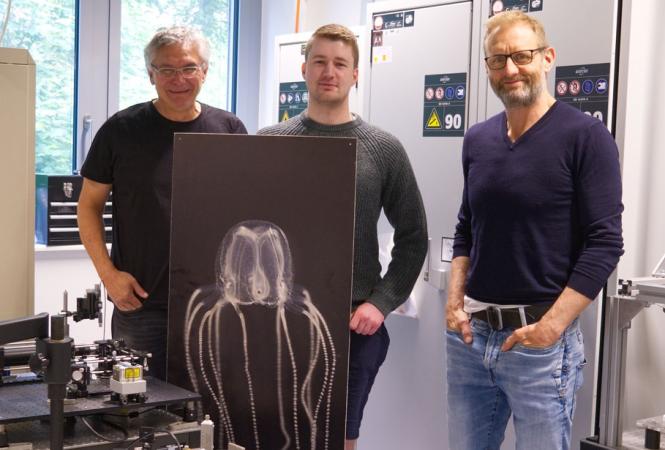 Die Physik der Grenzschicht hält sie zurück