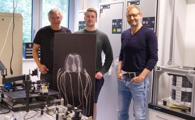 Die Physik der Grenzschicht hält sie zurück