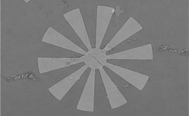 Mikroblumen verstärken das lokale Magnetfeld