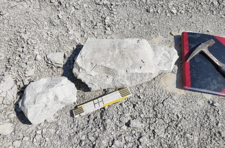 Gesteinsblöcke der Kreidezeit aus der Kalkmergelgrube in Hannover. Die Forschenden haben rund 100 Kilogramm Sedimentgesteine gesammelt und nach fossilen Mikrometeoriten durchsucht. Pro Kilogramm Gestein fanden sie durchschnittlich einen Mikrometeoriten.