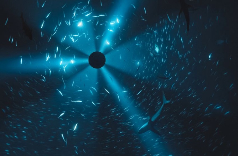 Ein Standbild aus Julian Charrières Video  „Midnight Zone - 85 Fathoms“...