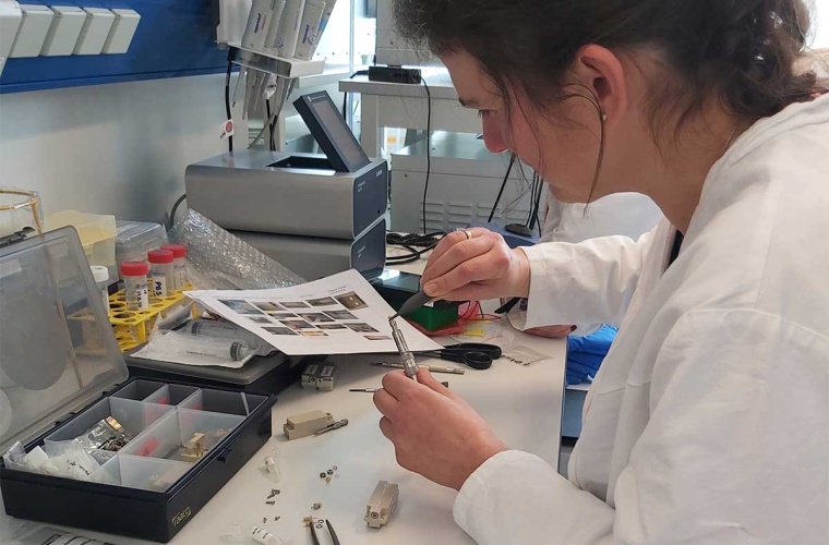 Carola Hartel aus der Biophysik von GSI/FAIR bei Vorbereitungen für das Projekt HippoBox.