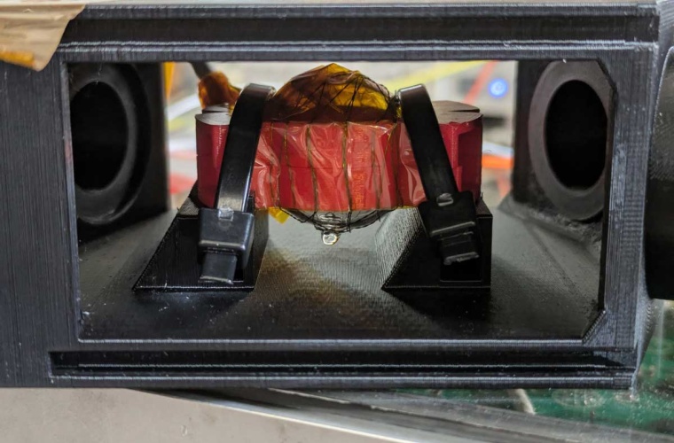 Glaszelle mit gasförmigem Rubidium, das mit dem Magnetfeld interagiert