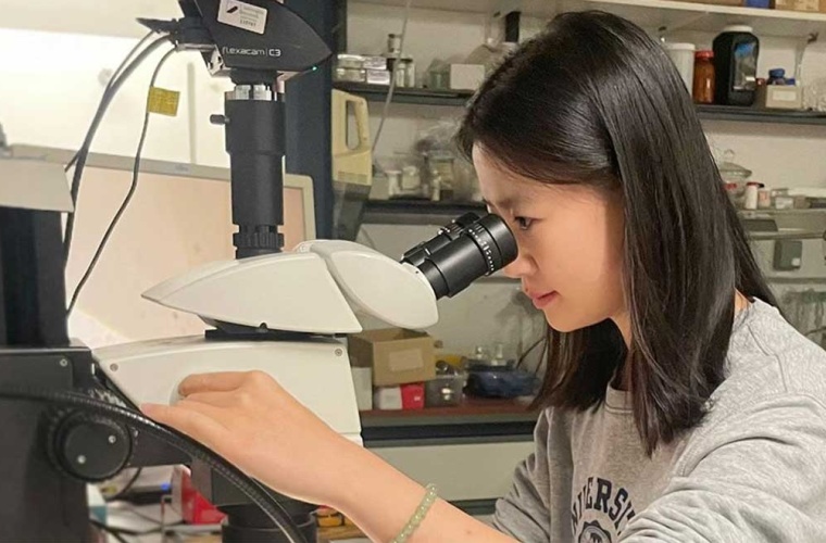 Yuqing Yin bei der Arbeit mit einer Diamantstempelzelle im Labor der Universität