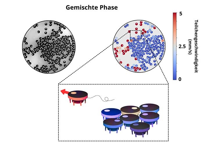 Versuchsanordnung und Analyse.