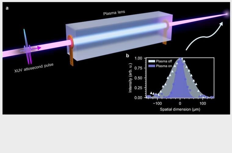 (a) Ein Attosekundenpuls tritt in eine Kapillare ein, in der ein starkes elektrisches Feld ein Wasserstoffplasma erzeugt. Da sich die Elektronen zu den Kapillarrändern bewegen, entsteht eine konkave Linse, die den Attosekundenpuls fokussiert. (b) Fokussierung der Attosekundenpulse durch das Plasma.