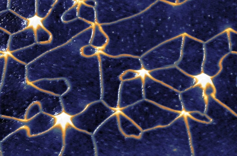 Rastertunnelmikroskopie Messung des antiferromagnetischen Domänenwandnetzwerks, Domänenwände erscheinen hell, die sehr hellen weißen Bereiche kennzeichnen Argon Blasen mit Domänenwandverzweigungen mit bis zu sechs Domänenwänden. Breite des Bildes ist etwa 120 Nanometer.