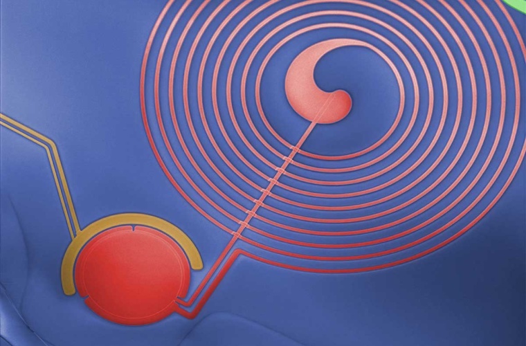 Nano-Device mit Kondensator (roter Kreis) und planarer Spule