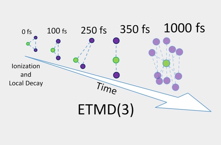 Die Studie lefert Erkenntnisse zum zeitlichen Verlauf des ETMD-Prozesses.