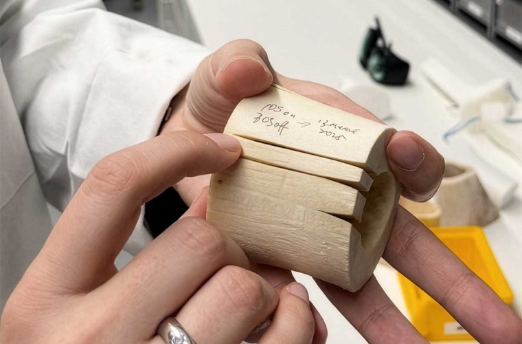 Chirurgische Laser konnten Knochen bisher nur sehr oberflächlich schneiden. (Foto: U Basel, Catherine Weyer)