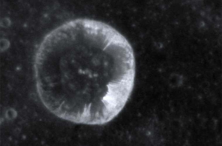 Diese MESSENGER-Aufnahme vom 19. Oktober 2013 lässt Lineae auf den Hängen eines Kraters auf dem Merkur erkennen und helle Vertiefungen, aus denen die Streifen hervortreten.