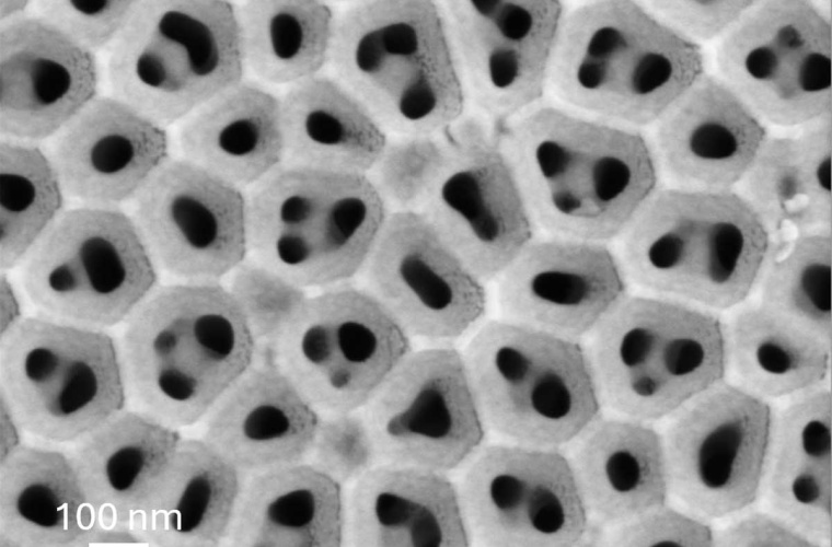 Aufsicht auf die hergestellte Ionenpumpe mit Hilfe der Rasterelektronenmikroskopie. Bild: Gideon Segev