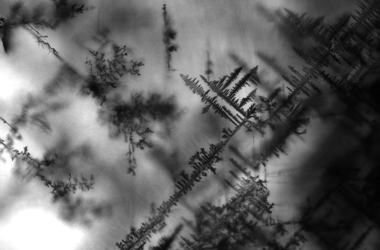 Silber-„Angiographie” eines Blei-Halogenid-Perowskit-Kristalls. Diese am ISTA entwickelte elektrochemische Färbetechnik auf Silberionenbasis ermöglicht die Visualisierung der Domänenwandstruktur des Materials unter dem Mikroskop. © Dmytro Rak/Alpichshev Gruppe/ISTA