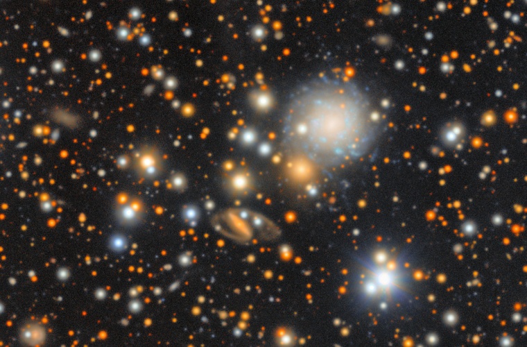 Dieser und die folgenden Ausschnitte aus dem „Ocean of Stars“ vermittelt...