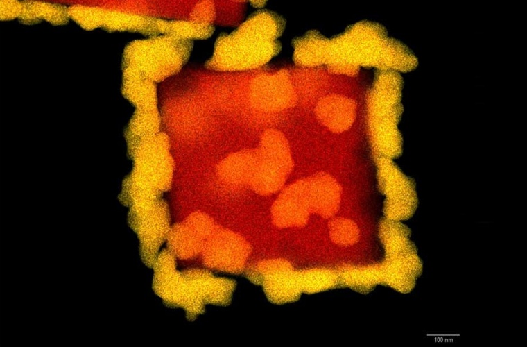Copper cube decorated by gold nanoclusters, synthesized under the electron beam in basic environment.