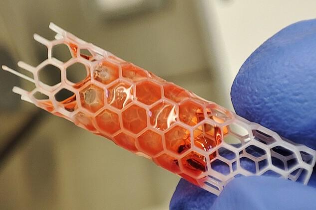 Abb.: Die 3D-gedruckte Gerüststruktur, an der die menschlichen Zellen wachsen...