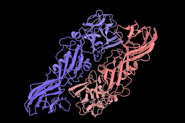 Abb.: Struktur des natürlichen Insektizidproteins Tpp49Aa1.