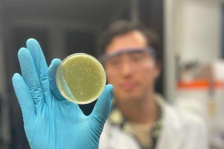 Abb.: Keramik-Nanopartikel wirken als winzige Thermometer in der Paste zum...