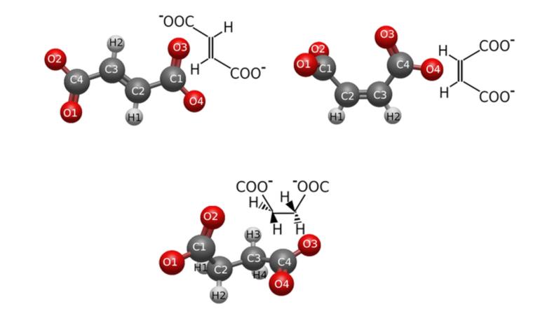 Abb.: Molekulargeometrische Strukturen der trans- und cis-Isomere Fumarat und...