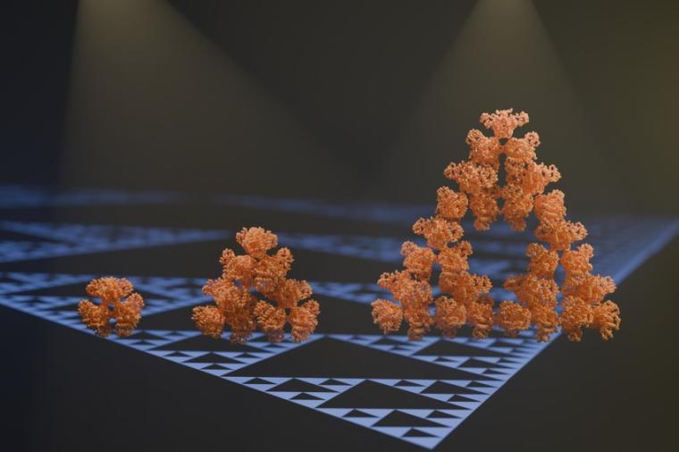 Abb.: Ein mikrobielles Enzym, eine Citrat-Synthase, ist das erste bekannte...