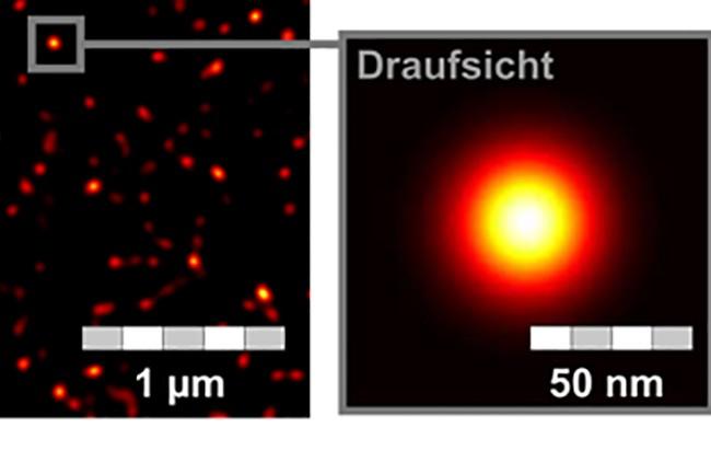 Abb.: STED-Aufnahme von CD95-Rezeptoren auf der Zellmembran