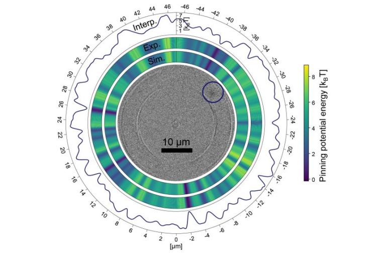 Abb.: Magnetooptische Mikroskopaufnahme eines Skyrmions in einem Ring...