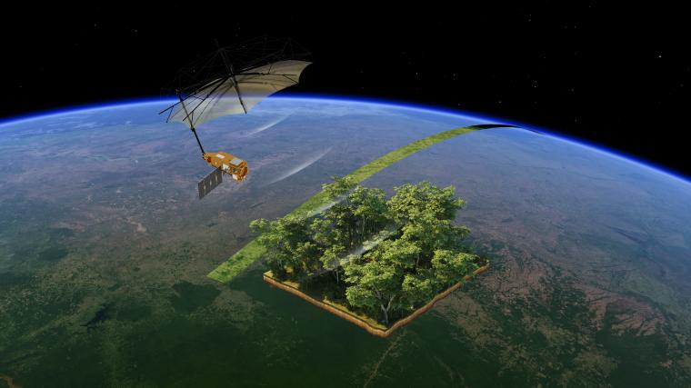 Abb.: Illustration der Kartierung der globalen Wälder mit dem Satelliten...