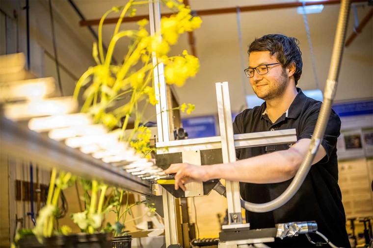 Jochen Taiber im Pflanzenlabor der Marburger Terahertz-Gruppe