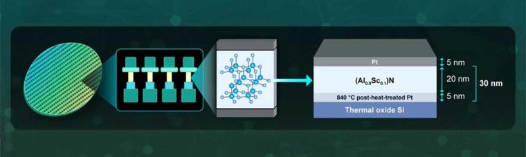 Ultrathin (Al,Sc)N Ferroelectric Capacitors for Next-Generation Memory Devices