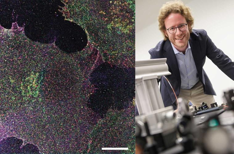 Landkarte verschiedener Glycanstrukturen auf einer humanen Blutgefäßzelle.
