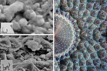 Abb.: Nanopartikel haben die Fähig­keit, Mikro­kanäle in der...
