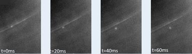 Abb.: Diese Serie fluoreszenz­mikro­sko­pischer Auf­nahmen zeigt die...