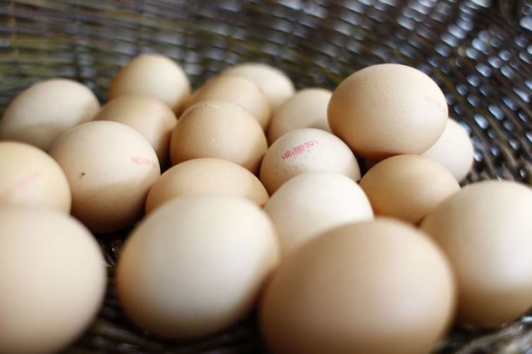 Abb.: Eierschalen bestehen aus porösem Kalziumkarbonat, das sich sehr gut für...