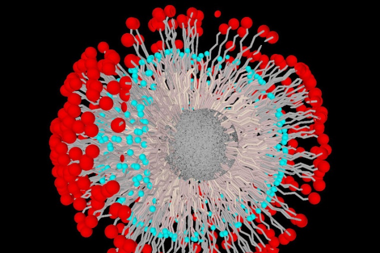 Abb.: 3D- Grafik eines zweifach funk­tionalisierten Nano­partikels aus...