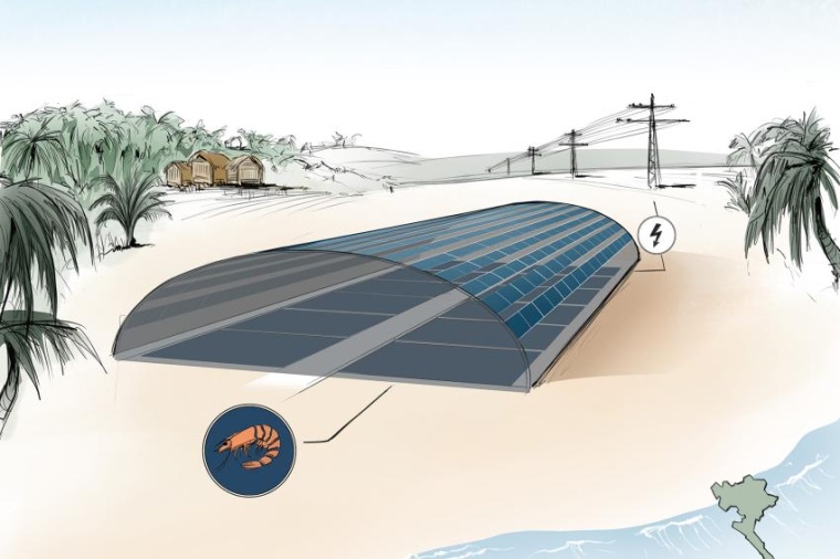 Abb.: Skizze des geplanten geschlossenen Shrimp-Photovoltaik-Tunnels in Bac...