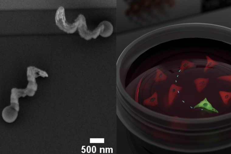 Abb.: Zwei Mikrometer lange und 500 Nano­meter breite...