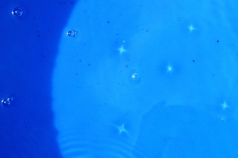 Abb. 1 Blasen auf der Wasseroberfläche sorgen für den Sternenhimmel am Grund...