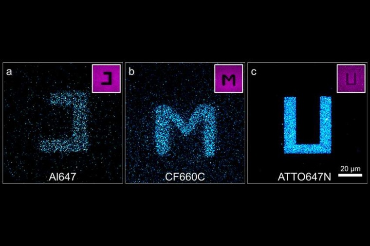 Abb.: Drei Farb­stoffe, die für die Fluores­zenz-Mikro­skopie ver­wendet...