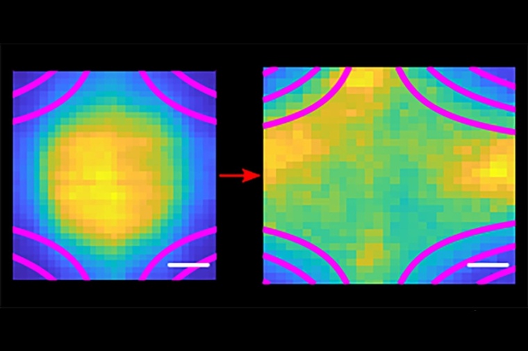 Abb.: Laser­induzierte Fluores­zenz einer ultra­kalten Plasma­wolke (gelb...