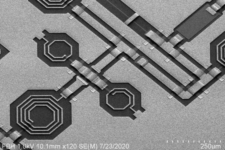 Abb.: REM-Aufnahme von Galliumnitrid-MMICs (Bild: FBH)